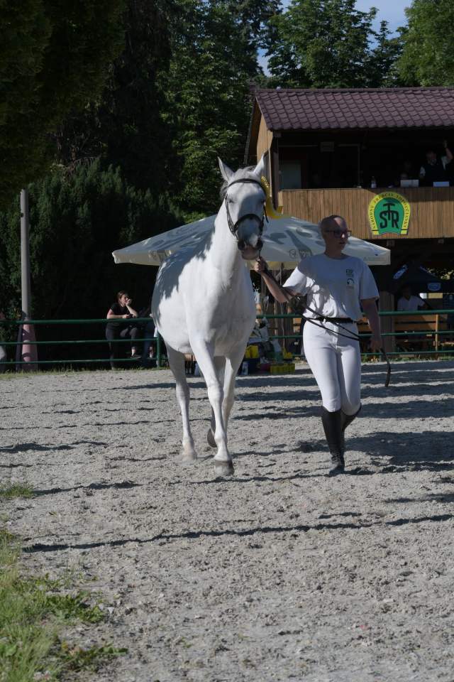 DSC_7672
